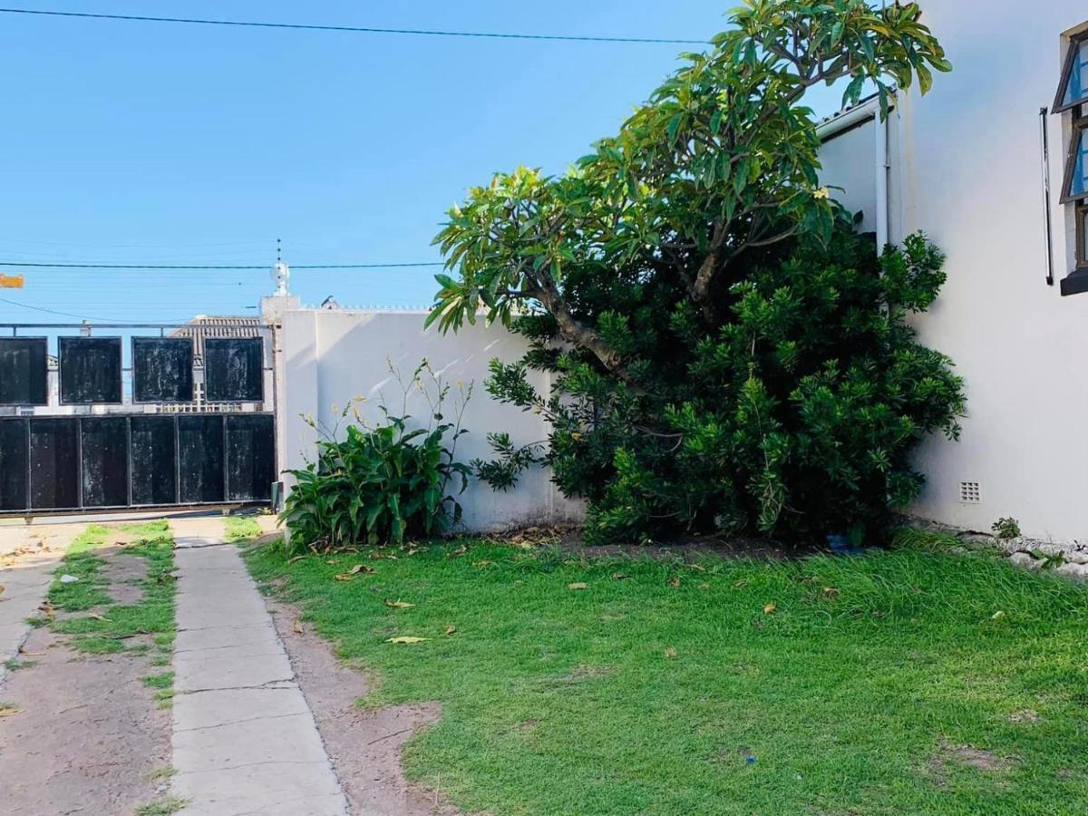 شرق لندن Palm Heaven B&B المظهر الخارجي الصورة